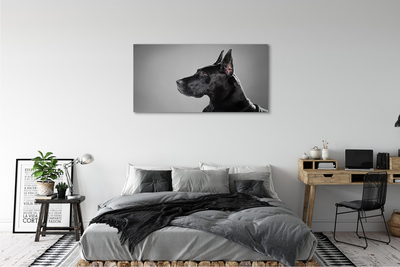 Leinwandbilder Schwarzer Hund
