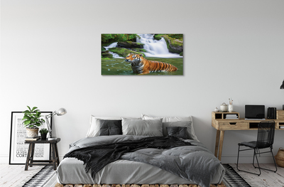 Leinwandbilder fallendem Wasser tiger