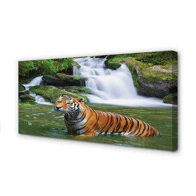 Leinwandbilder fallendem Wasser tiger