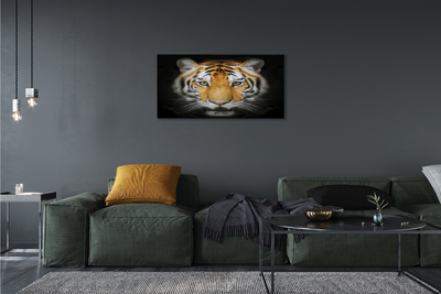 Leinwandbilder Tiger