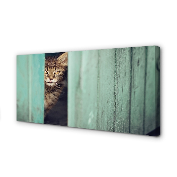 Leinwandbilder Katze Zaglądający