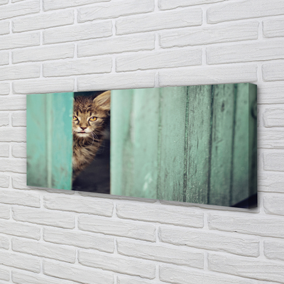 Leinwandbilder Katze Zaglądający