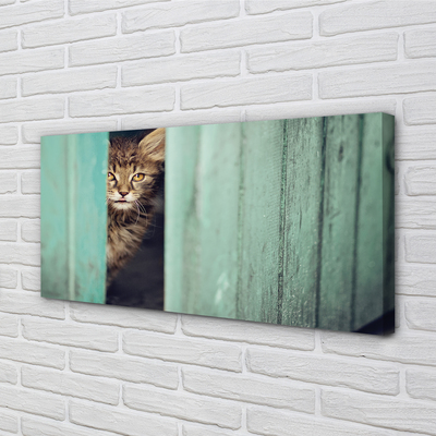Leinwandbilder Katze Zaglądający