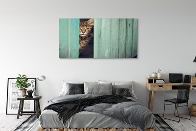 Leinwandbilder Katze Zaglądający