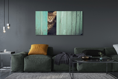 Leinwandbilder Katze Zaglądający