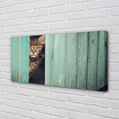 Leinwandbilder Katze Zaglądający