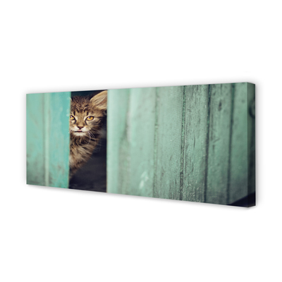 Leinwandbilder Katze Zaglądający