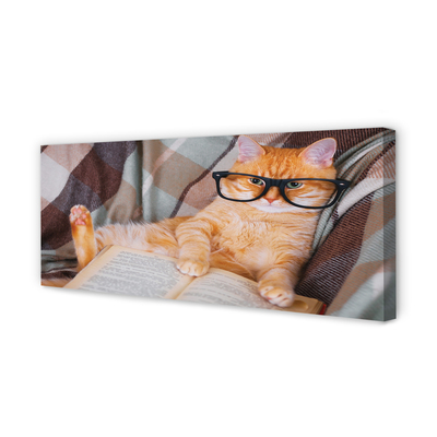 Leinwandbilder Der Leser Katze