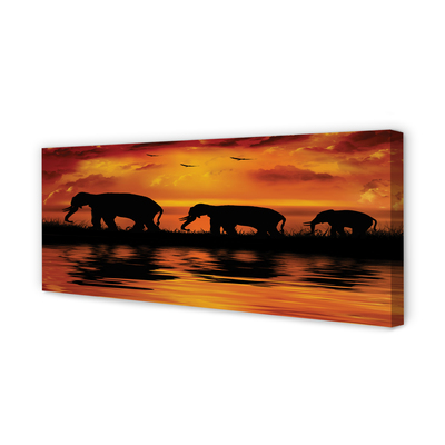 Leinwandbilder West Lake Elefanten