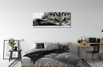 Leinwandbilder grau-schwarze Katze