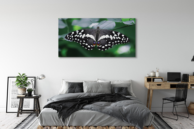Leinwandbilder Schmetterling bunte Blätter
