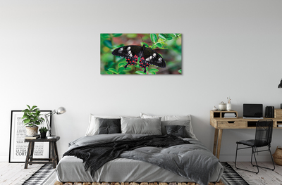 Leinwandbilder Blätter farbiger Schmetterling