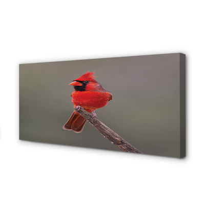 Leinwandbilder red Papagei auf einem Zweig