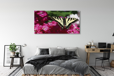 Leinwandbilder Schmetterling Blume