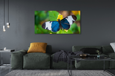 Leinwandbilder bunter Schmetterling auf Blumen
