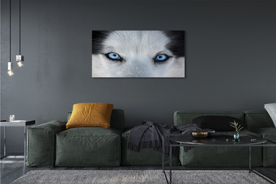 Leinwandbilder Wolf Augen