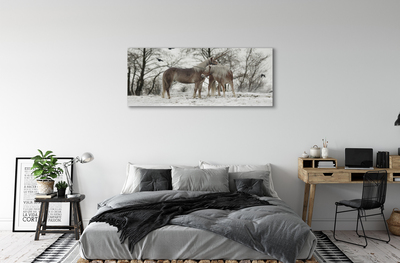 Leinwandbilder Unicorns Winterwald