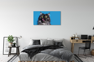 Leinwandbilder Oblizujący Katze