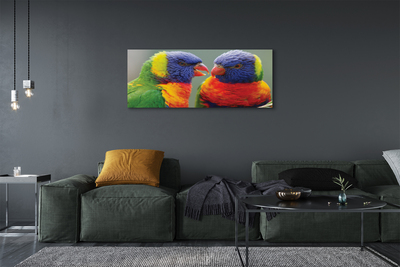 Leinwandbilder bunter Papagei