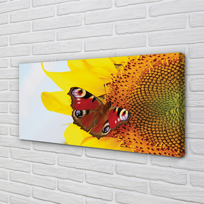 Leinwandbilder Sonnenblumen Motte