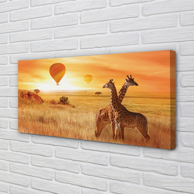Leinwandbilder Ballon-Himmel-Giraffe