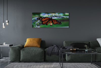 Leinwandbilder Schmetterling auf Blume