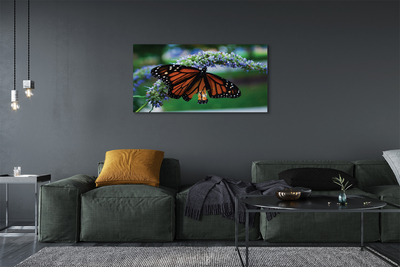Leinwandbilder Schmetterling auf Blume