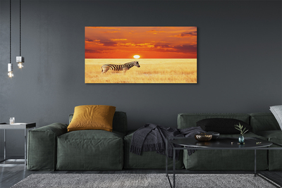 Leinwandbilder Zebra Sonnenuntergang Feld