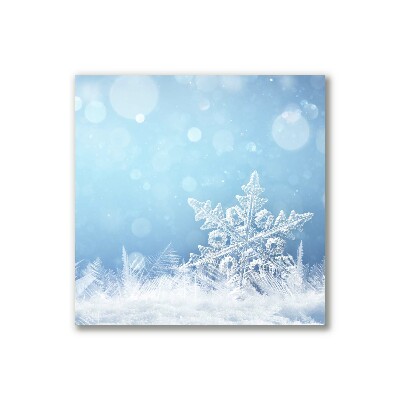 Leinwand-Bilder Schneeflocken Winter-Schnee