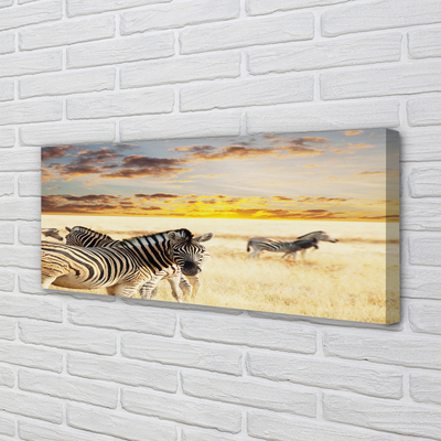 Leinwandbilder Sonnenuntergang auf dem Feld Zebra