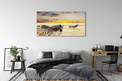 Leinwandbilder Sonnenuntergang auf dem Feld Zebra