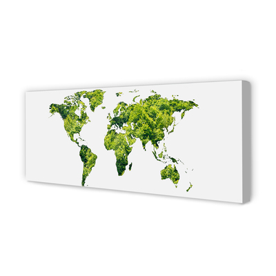 Leinwandbilder Grüne Gras-Karte