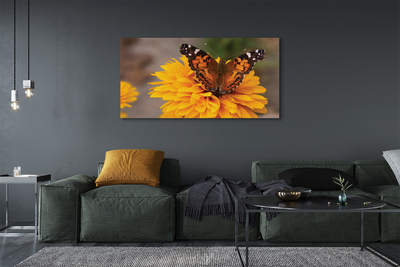Leinwandbilder Schmetterling farbige Blumen