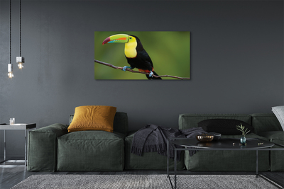 Leinwandbilder Papagei auf einem Zweig gefärbt