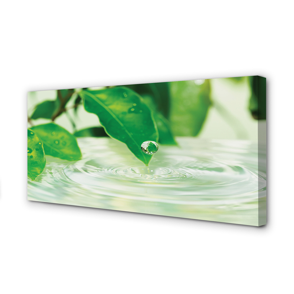 Leinwandbilder Wassertropfen Blätter