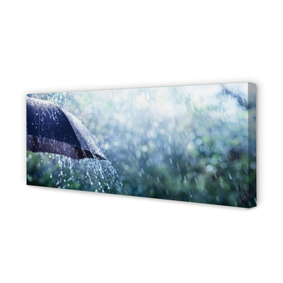 Leinwandbilder Regenschirm Regentropfen