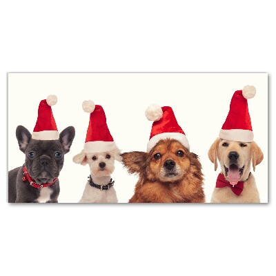 Canvas Kunstdruck Hunde Weihnachtsmann-Weihnachten