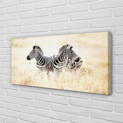 Leinwandbilder Zebra-Box