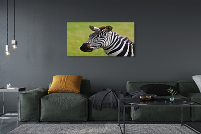 Leinwandbilder Zebra