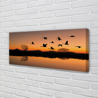 Leinwandbilder Sonnenuntergang fliegende Vögel