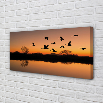 Leinwandbilder Sonnenuntergang fliegende Vögel