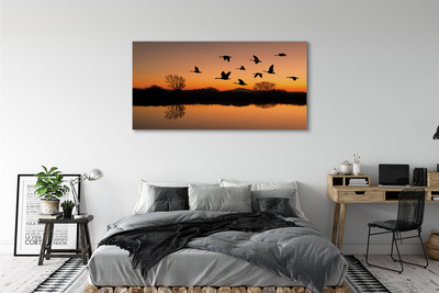 Leinwandbilder Sonnenuntergang fliegende Vögel