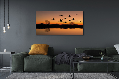 Leinwandbilder Sonnenuntergang fliegende Vögel