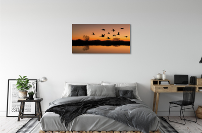 Leinwandbilder Sonnenuntergang fliegende Vögel