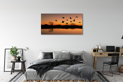 Leinwandbilder Sonnenuntergang fliegende Vögel