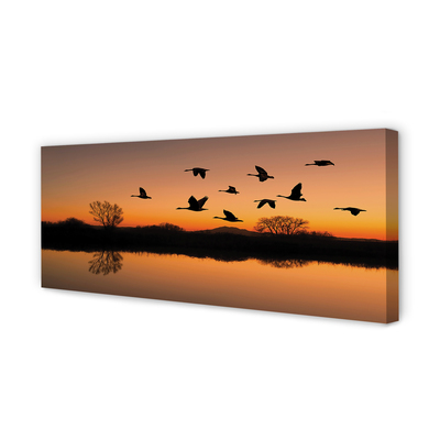 Leinwandbilder Sonnenuntergang fliegende Vögel