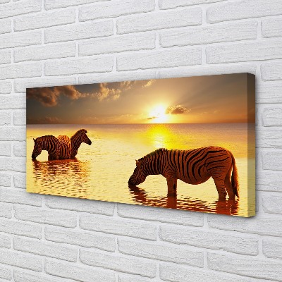 Leinwandbilder Sonnenuntergang Wasser Zebras