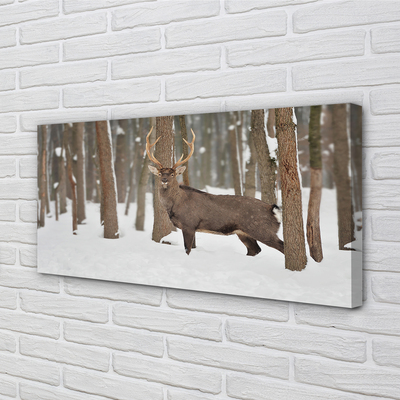 Leinwandbilder Deer Winterwald