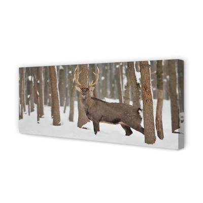 Leinwandbilder Deer Winterwald