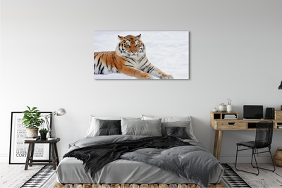Leinwandbilder Tiger Winter